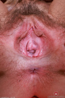 Riley Rose Red Dress Foot Fetish Hairy Pits And Pussy gallery from ATKHAIRY by GB Photography - #4