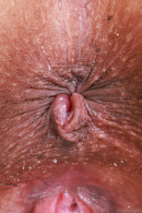 Chloe Lin in Gallery #16777215 gallery from ATKEXOTICS - #7