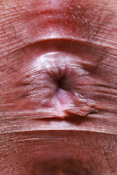 Lalie Fox in  gallery from ATKGALLERIA - #7