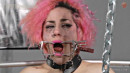 DChainz Dehumenized Paddled PainToy gallery from SENSUALPAIN - #5