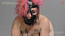 DChainz Dehumenized Paddled PainToy gallery from SENSUALPAIN - #8