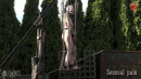 Chain Cage Of Anguish gallery from SENSUALPAIN - #4