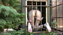 Female Orifice Indoctrination Part 1 gallery from SENSUALPAIN - #4