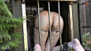 Female Orifice Indoctrination Part 2 gallery from SENSUALPAIN - #6