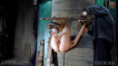 Head Box Wall Pussy Orgasms gallery from SENSUALPAIN - #14