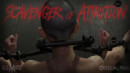 Scavenger Of Attrition gallery from SENSUALPAIN - #14