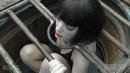 Out Of The Pit And Onto The Log gallery from SENSUALPAIN - #14