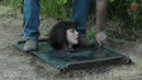 Out Of The Pit And Onto The Log gallery from SENSUALPAIN - #15
