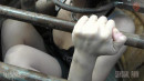 Out Of The Pit And Onto The Log gallery from SENSUALPAIN - #2
