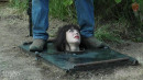 Out Of The Pit And Onto The Log gallery from SENSUALPAIN - #3