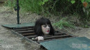 Out Of The Pit And Onto The Log gallery from SENSUALPAIN - #4