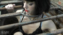 Out Of The Pit And Onto The Log gallery from SENSUALPAIN - #6