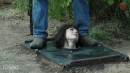 Out Of The Pit And Onto The Log gallery from SENSUALPAIN - #9