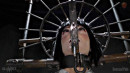 Majestic Gibbet gallery from SENSUALPAIN - #14