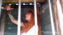 Acquired Redhead For Training gallery from SENSUALPAIN - #1