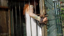 Acquired Redhead For Training gallery from SENSUALPAIN - #9