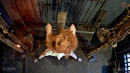 Acquired Redhead Ds Mind Managing gallery from SENSUALPAIN - #6