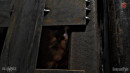 Acquired Redhead Gimp Construct gallery from SENSUALPAIN - #10