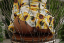 Margo Dumas The Peach Pantera gallery from ZISHY by Zach Venice - #3
