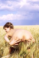 Olga in Fields Of Gold gallery from ERROTICA-ARCHIVES by Erro - #6