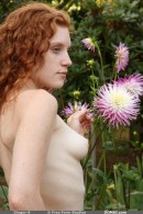 Ginger A in Set 5 gallery from DOMAI by Free Form Studios - #9
