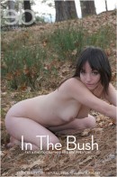 Fay A in In The Bush gallery from EROTICBEAUTY by Dave Preston - #5