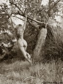 Janette in Trees gallery from GALLERY-CARRE by Didier Carre - #1