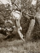 Janette in Trees gallery from GALLERY-CARRE by Didier Carre - #2