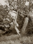 Janette in Trees gallery from GALLERY-CARRE by Didier Carre - #3