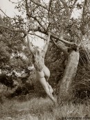 Janette in Trees gallery from GALLERY-CARRE by Didier Carre - #4