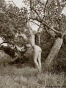 Janette in Trees gallery from GALLERY-CARRE by Didier Carre - #5