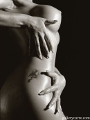 Delfyn in Tatoos gallery from GALLERY-CARRE by Didier Carre - #3