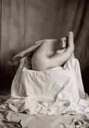 Andgy in Armchair gallery from GALLERY-CARRE by Didier Carre - #12