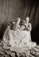 Andgy in Armchair gallery from GALLERY-CARRE by Didier Carre - #13