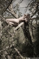 Amy in Sleeping In A Tree gallery from GALLERY-CARRE by Didier Carre - #4