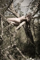 Amy in Sleeping In A Tree gallery from GALLERY-CARRE by Didier Carre - #5