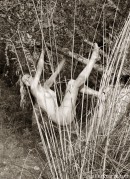 Janette in Trees gallery from GALLERY-CARRE by Didier Carre - #5