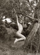 Janette in Trees gallery from GALLERY-CARRE by Didier Carre - #6