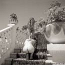 Janette-et-ornella in On The Stairs gallery from GALLERY-CARRE by Didier Carre - #14