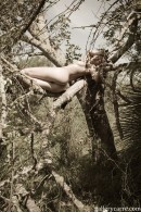Amy in Sleeping In A Tree gallery from GALLERY-CARRE by Didier Carre - #12