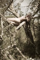 Amy in Sleeping In A Tree gallery from GALLERY-CARRE by Didier Carre - #3