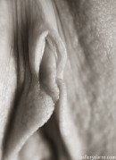 Lea-cisley in Close Ups gallery from GALLERY-CARRE by Didier Carre - #11