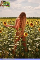 Alena Sunflowers gallery from SECRETNUDISTGIRLS by DavidNudesWorld - #13