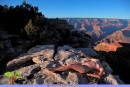 Tatyana Nude At The Grand Canyon gallery from SECRETNUDISTGIRLS by DavidNudesWorld - #6