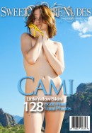 Cami Presents Little Yellow Bikini gallery from SWEETNATURENUDES by David Weisenbarger - #14