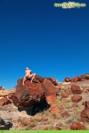 Tatyana Presents Naked Poses With Petrified Wood gallery from SWEETNATURENUDES by David Weisenbarger - #6