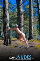 Nicole Winter Hat gallery from DAVID-NUDES by David Weisenbarger - #9