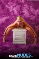Tatyana Stretch gallery from DAVID-NUDES by David Weisenbarger - #4