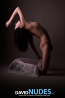 Ksenya Lace Dance gallery from DAVID-NUDES by David Weisenbarger - #14