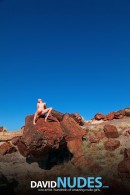 Tatyana Petrified Forest gallery from DAVID-NUDES by David Weisenbarger - #14
